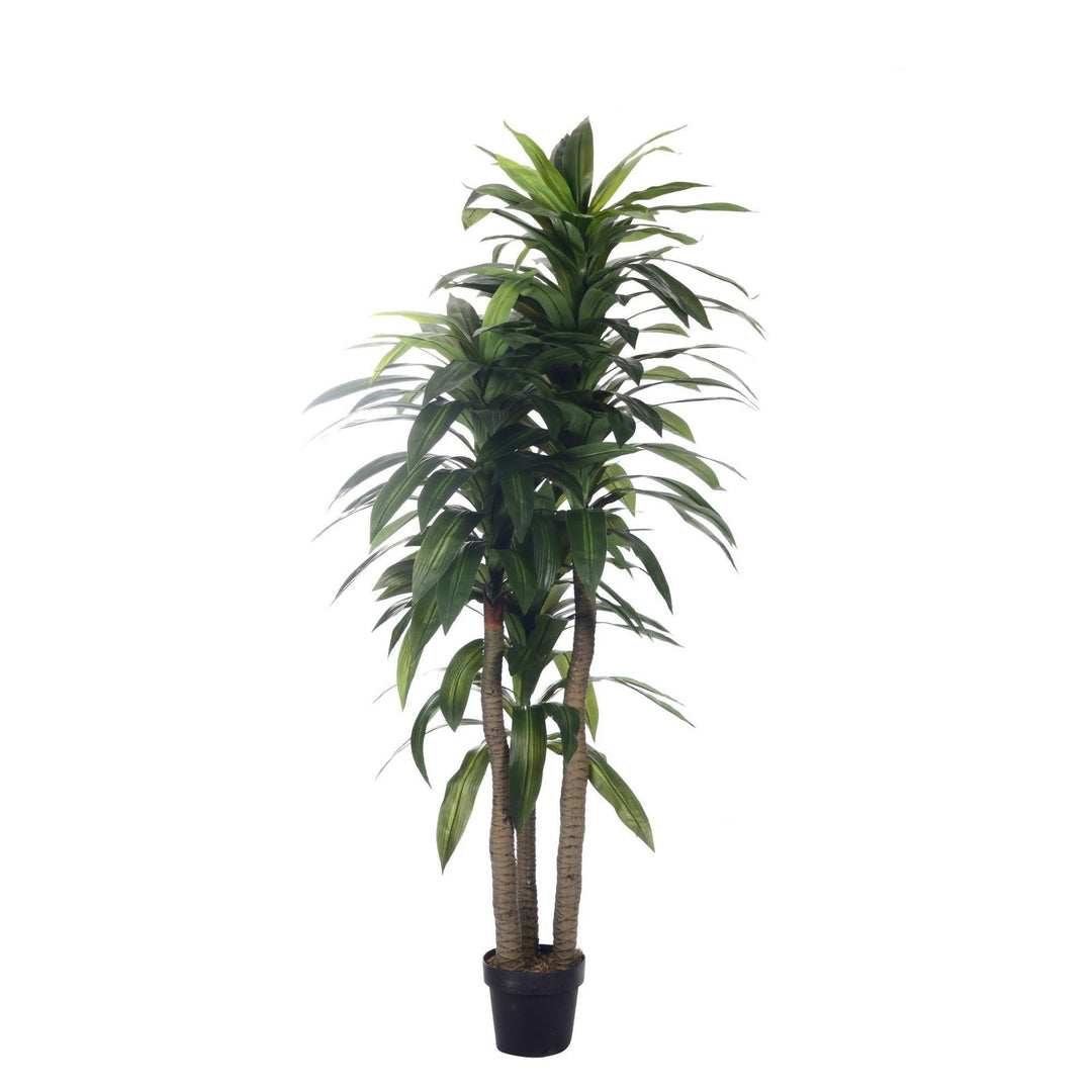 ARTIFICIAL PLANT 180CM DRACAENA WITH POT - Barakah Home Store