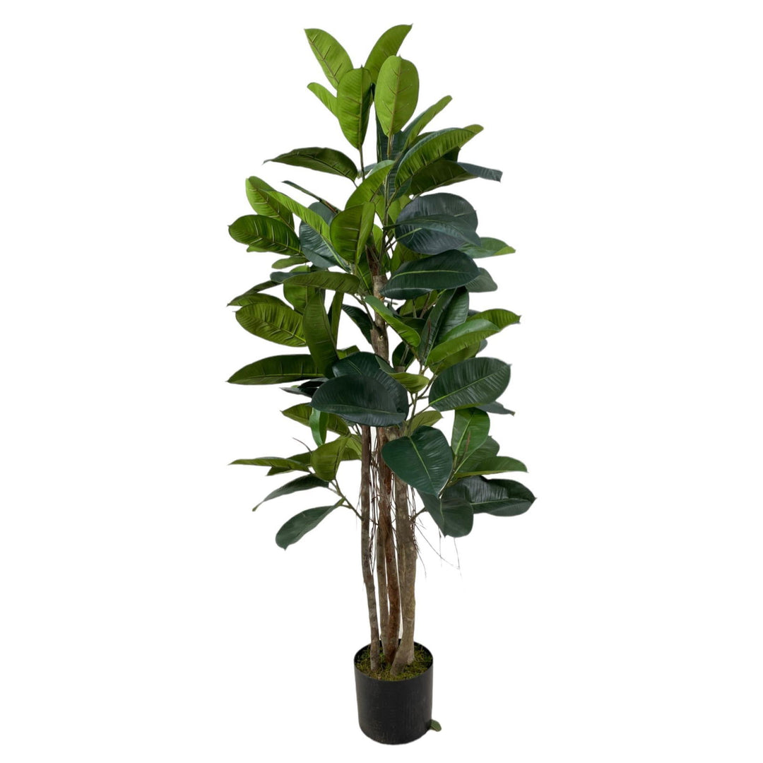 PLANTA ART. C/POTE - Barakah Home Store