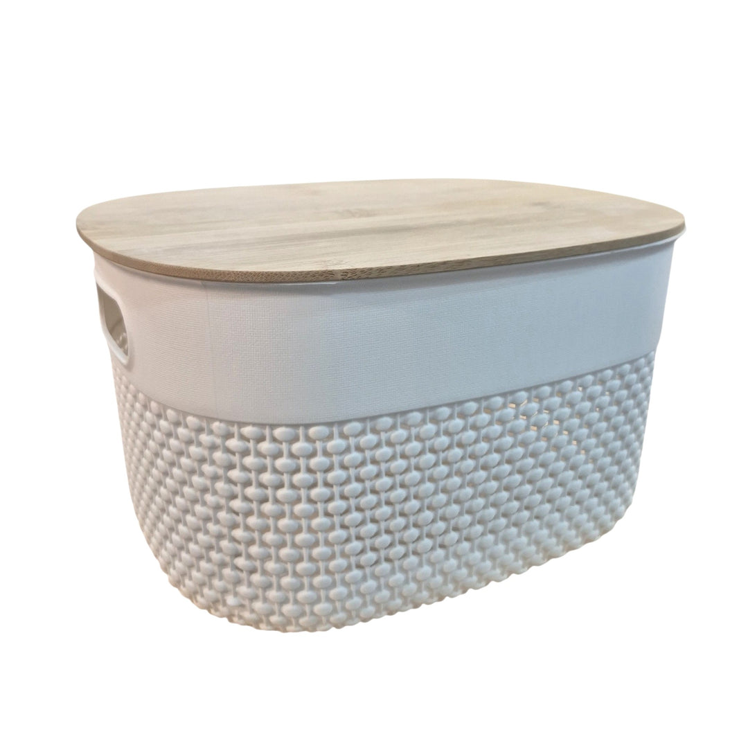 ORGANIZADOR CON TAPA 27X22X15CM COD:109202