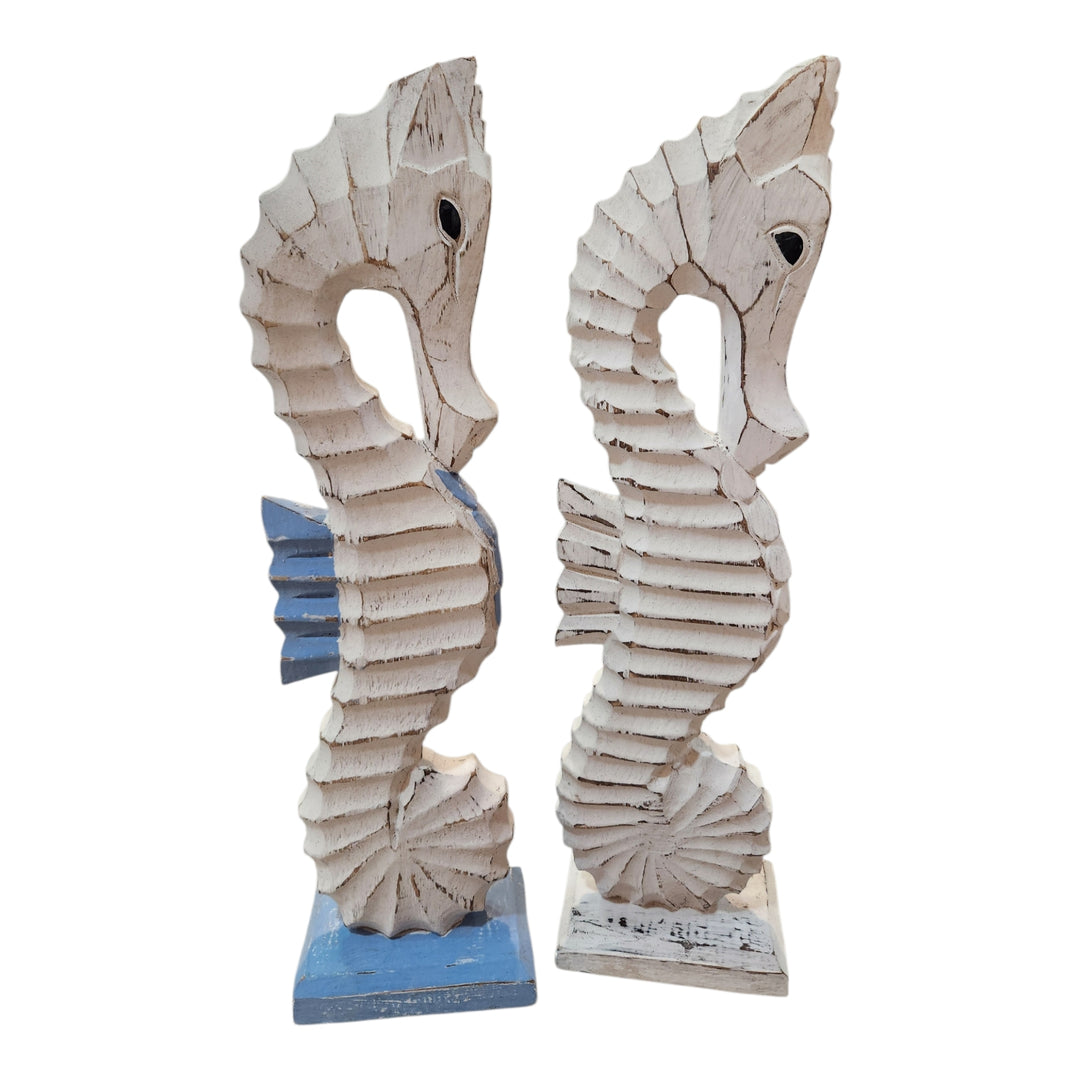 CABALLITO DE MAR  MEDIANO SURTIDO