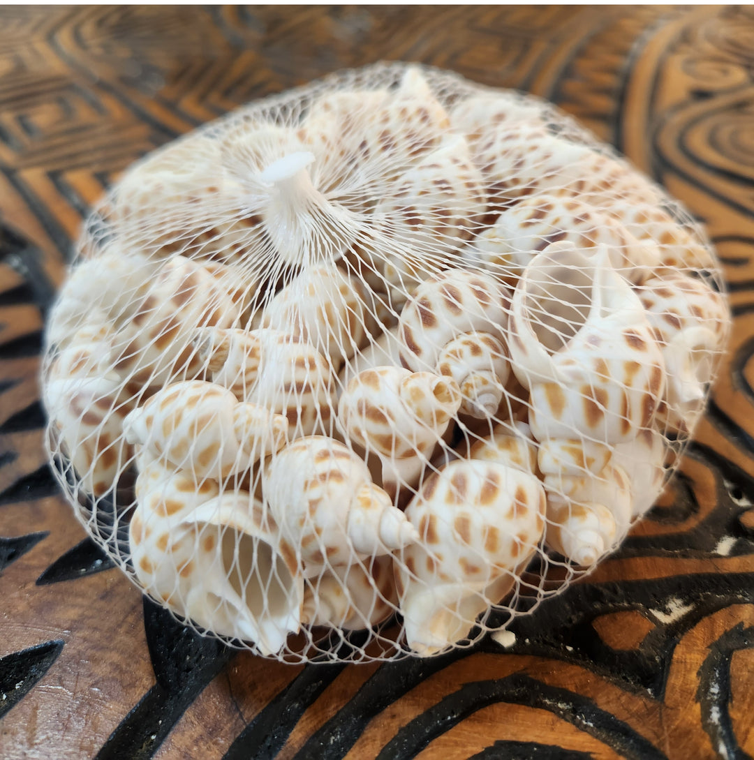 PACK CARACOLES 100 GR