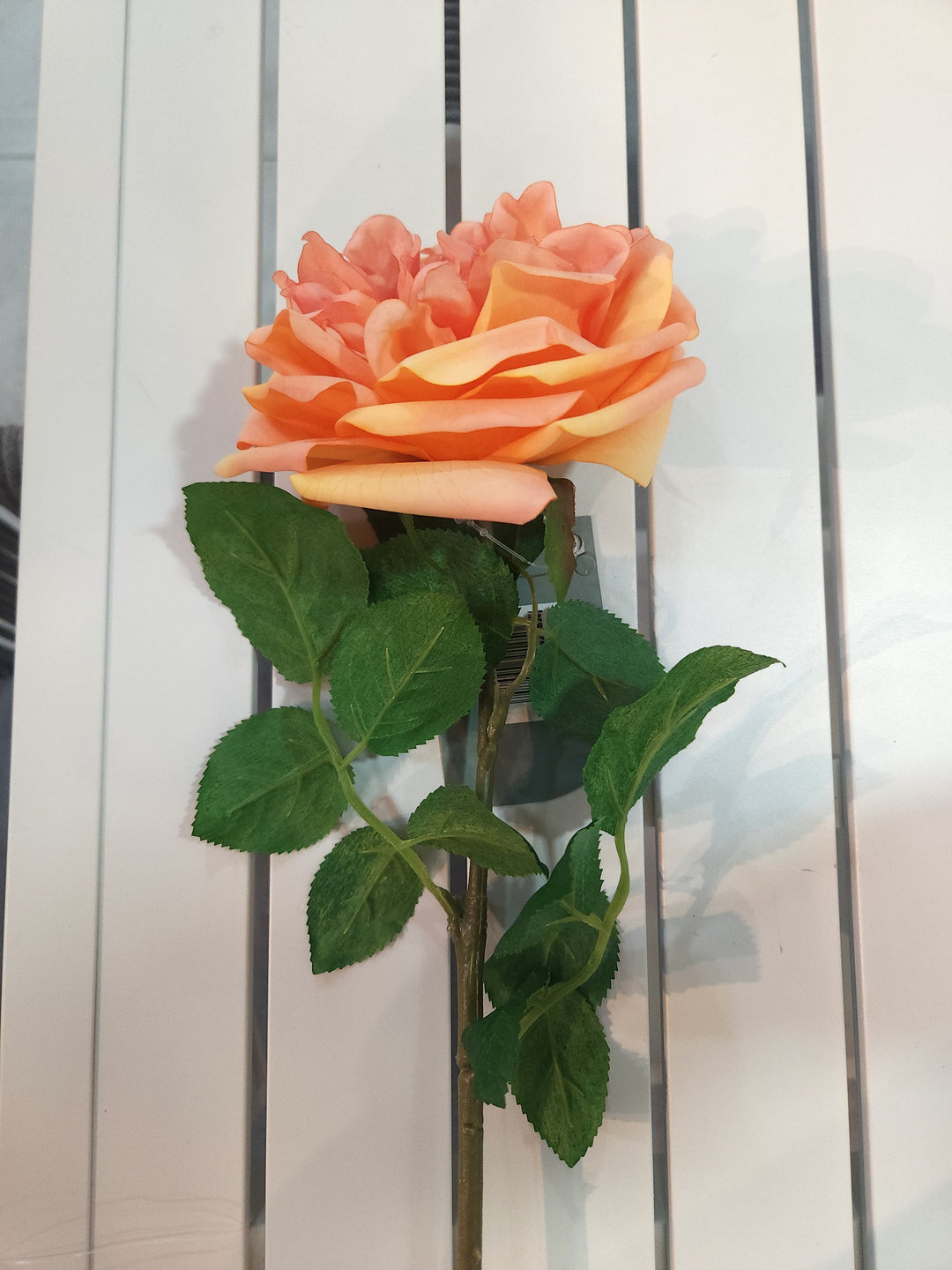 FLOR AUSTIN LARGO L65CM