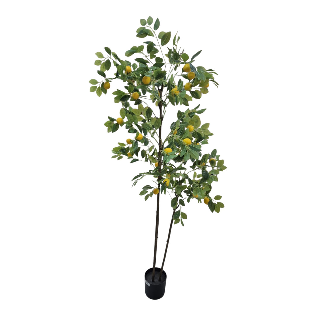 LIMONERO C/POTE 187CM COD:117491