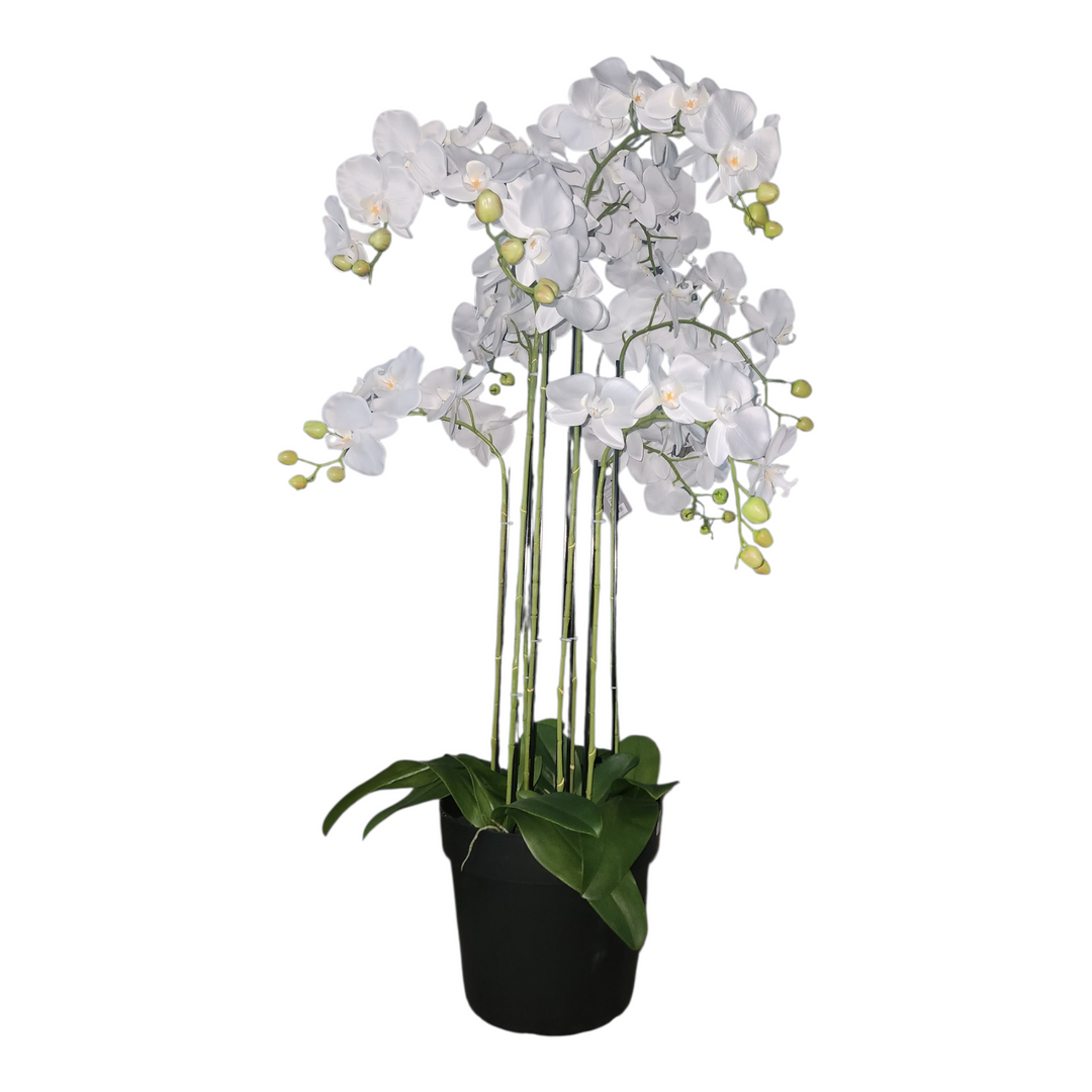 ORQUIDEA DECOR 70X70X110CM