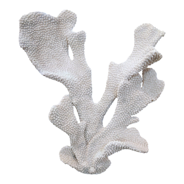 CORAL DECOR
