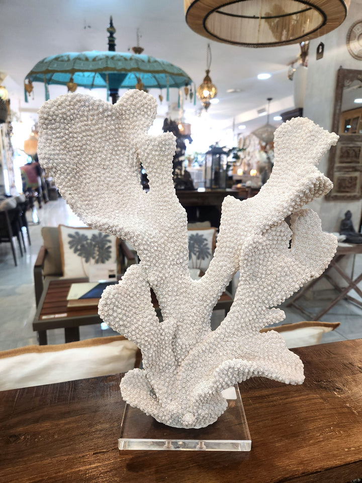 CORAL DECOR