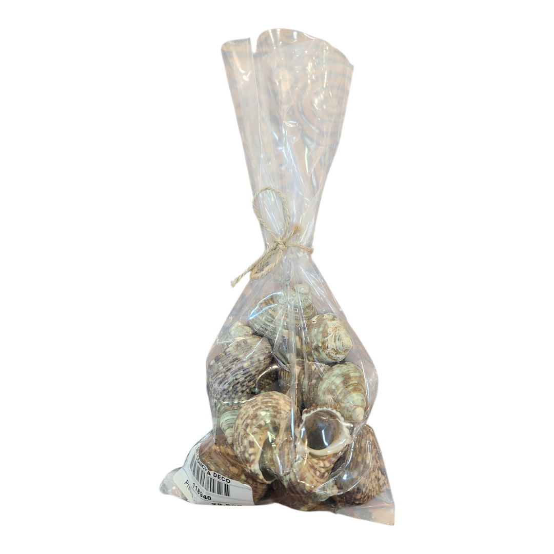 BOLSA CONCHAS/CARACOLES DECORACIÓN
