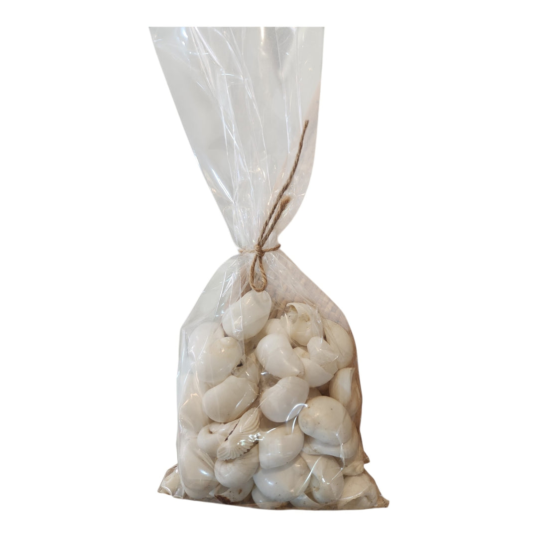 BOLSA CONCHAS/CARACOLES DECORACIÓN COD:118943