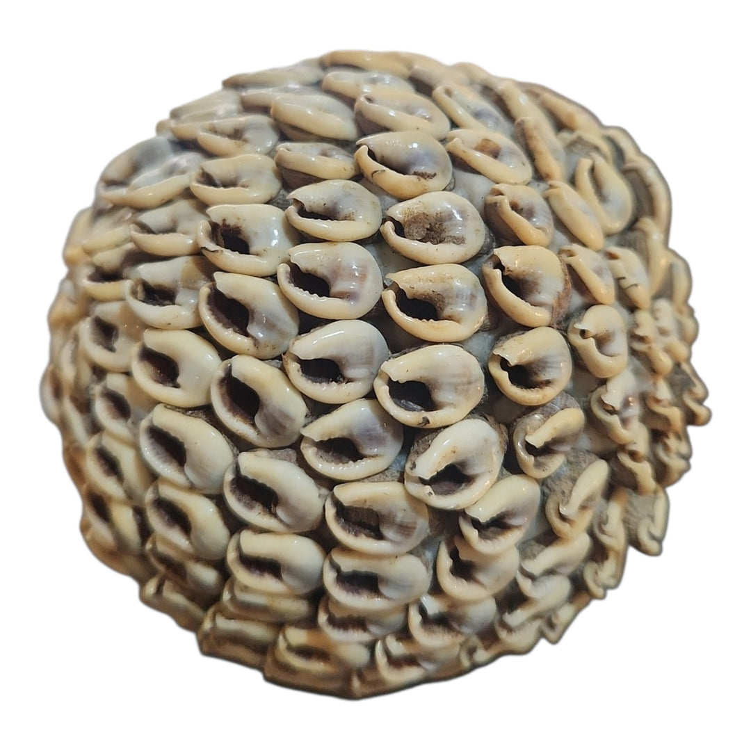 ESFERA DECOR CARACOLES 8CM COD:118954