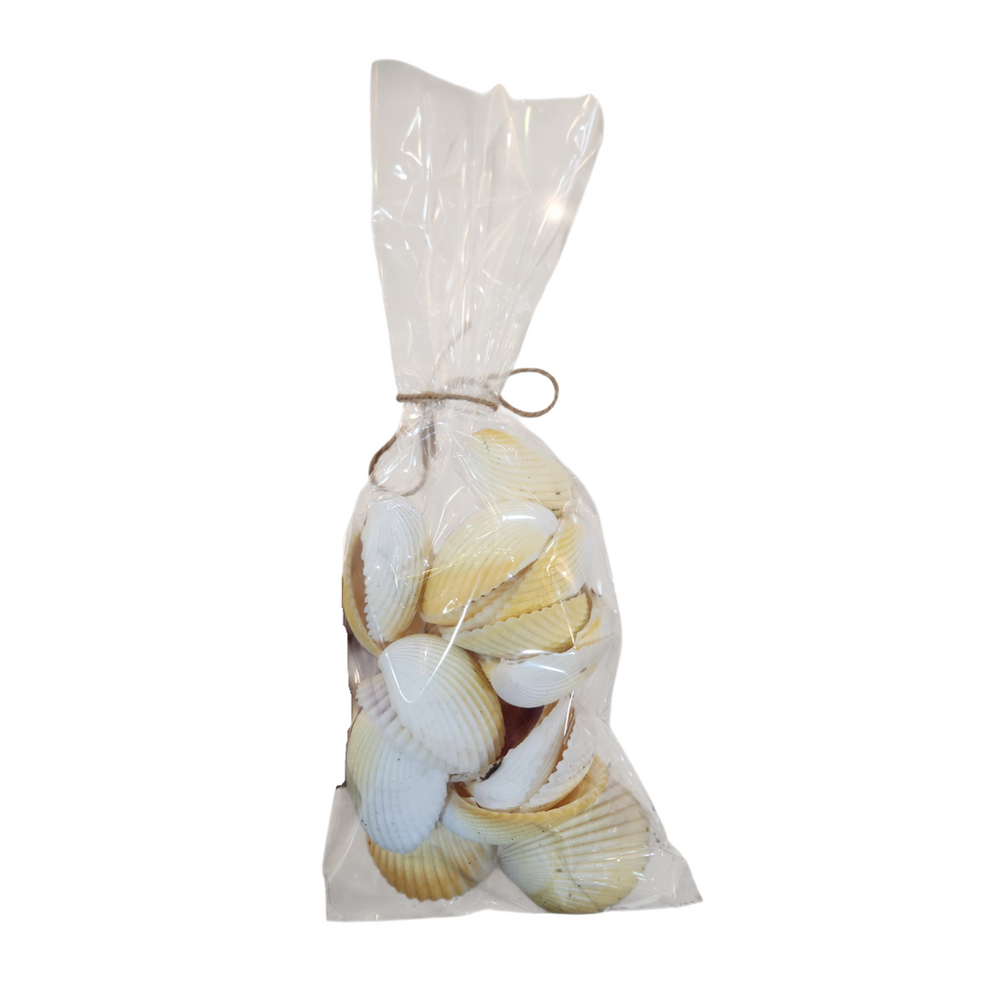 BOLSA CONCHAS/CARACOLES DECORACIÓN