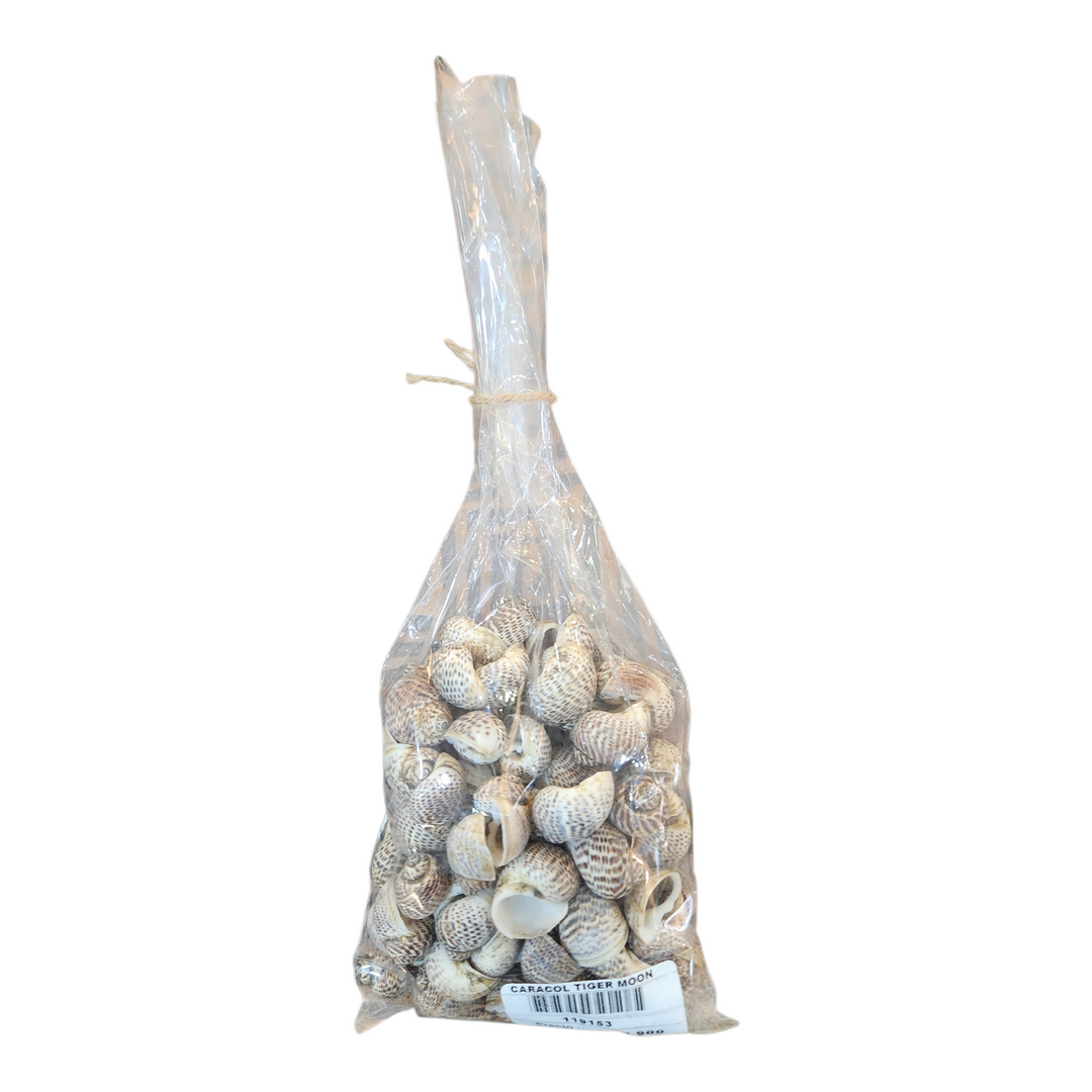 BOLSA  CARACOLES TIGER MOON DECORACIÓN