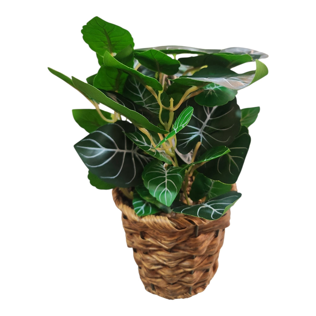 PLANTA ARTIFICIAL 12X12X28CM