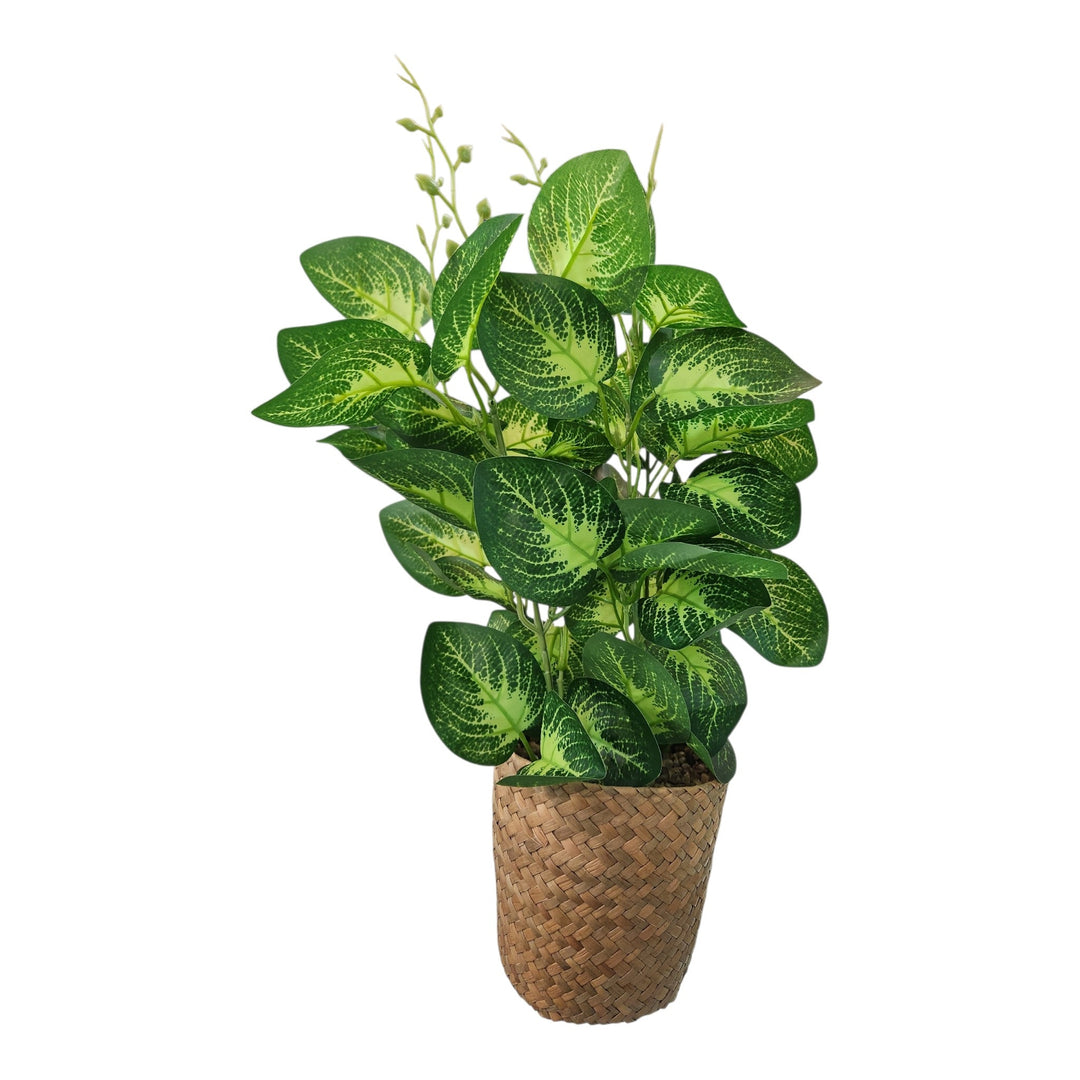 PLANTA ARTIFICIAL 13X13X45CM