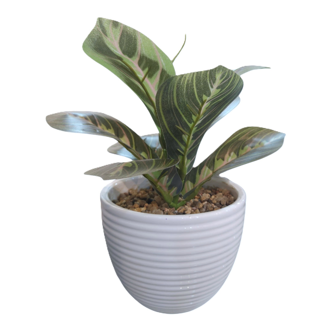 PLANTA 22CM