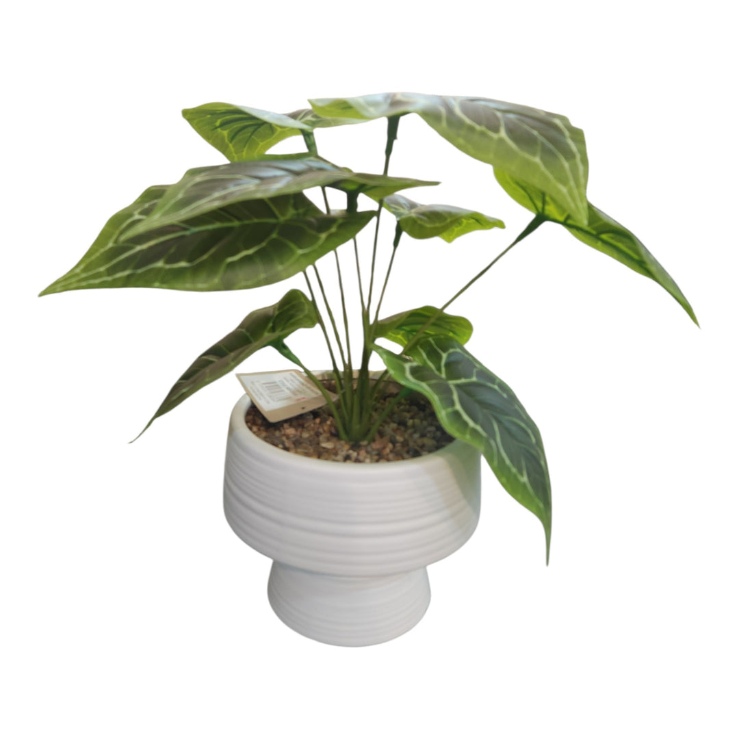 PLANTA 33CM