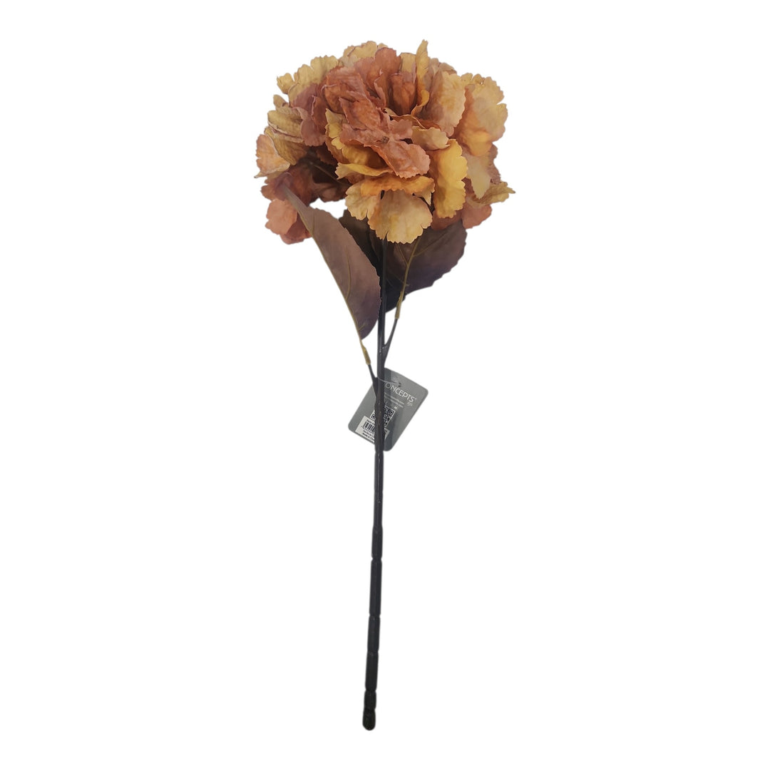 HORTENSIA COD:120326