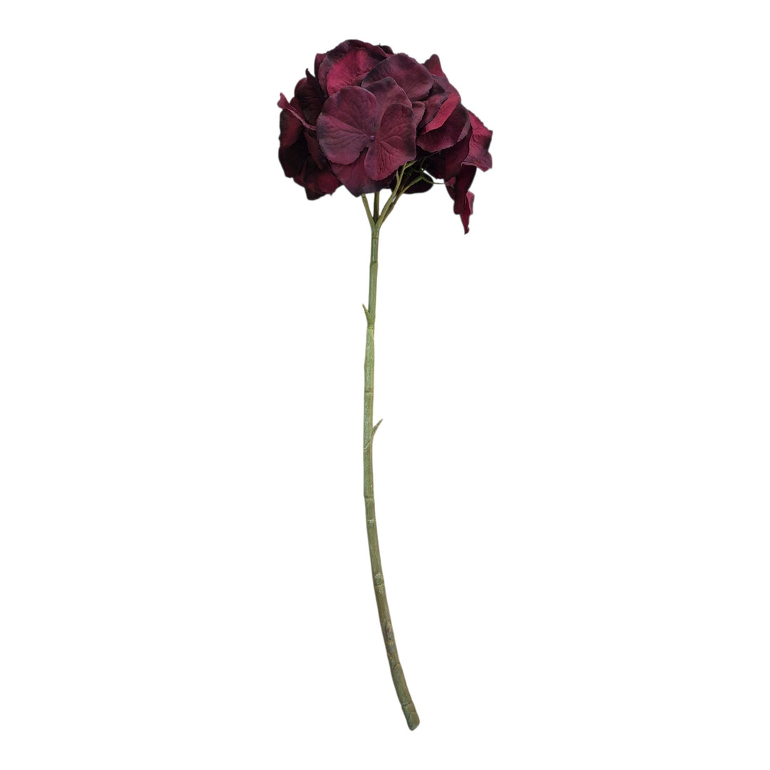 HORTENSIA 8X62X10CM COD:120912
