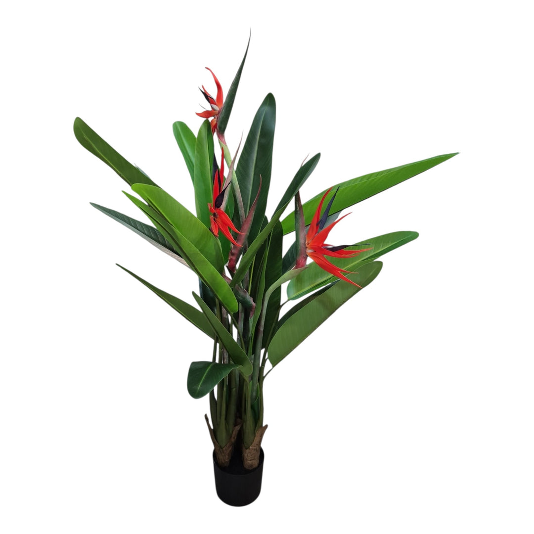 PLANTA CON POTE AVE DEL PARAISO 120CM COD:120930