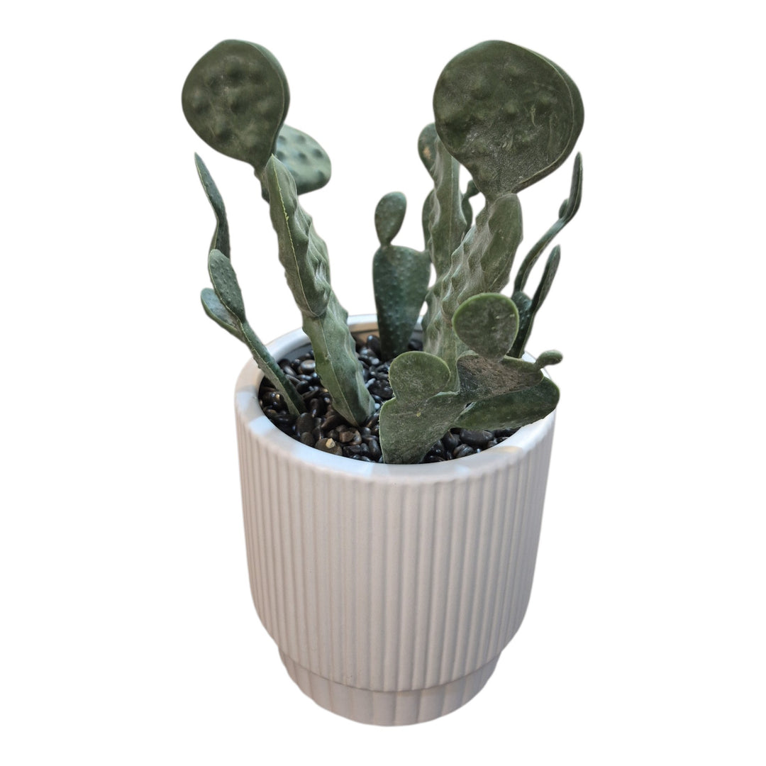 CACTUS ARTIFICIAL 25CM COD:121586