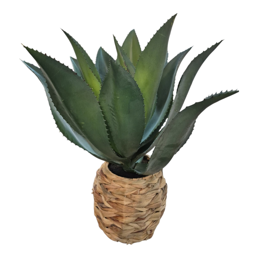 AGAVE C/POTE 14X17X34CM COD:121848