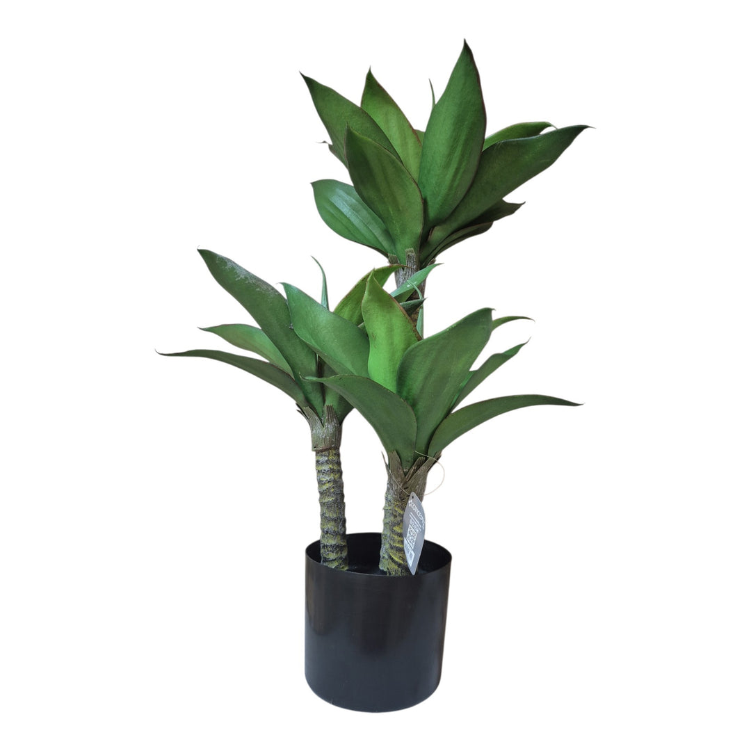 PLANTA C/POTE 70X50X70CM COD:121849