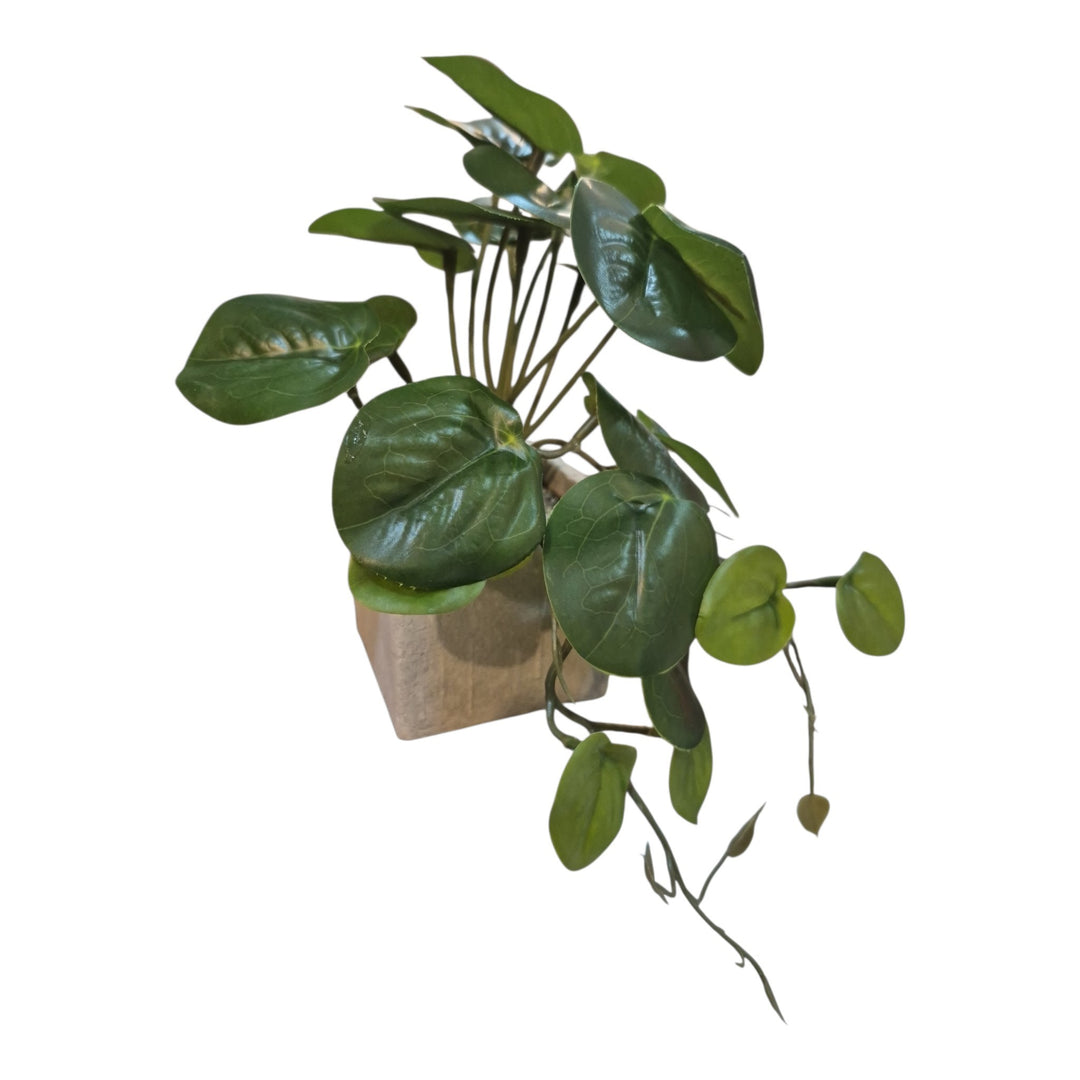 PLANTA PEQUEÑA 16x12x12cm COD:121850
