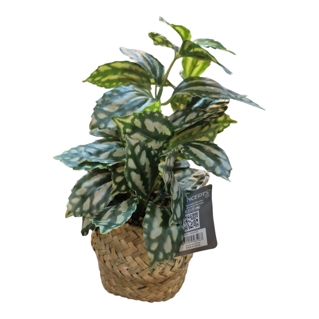 PLANTA C/POTE 17X19X28CM COD:121851