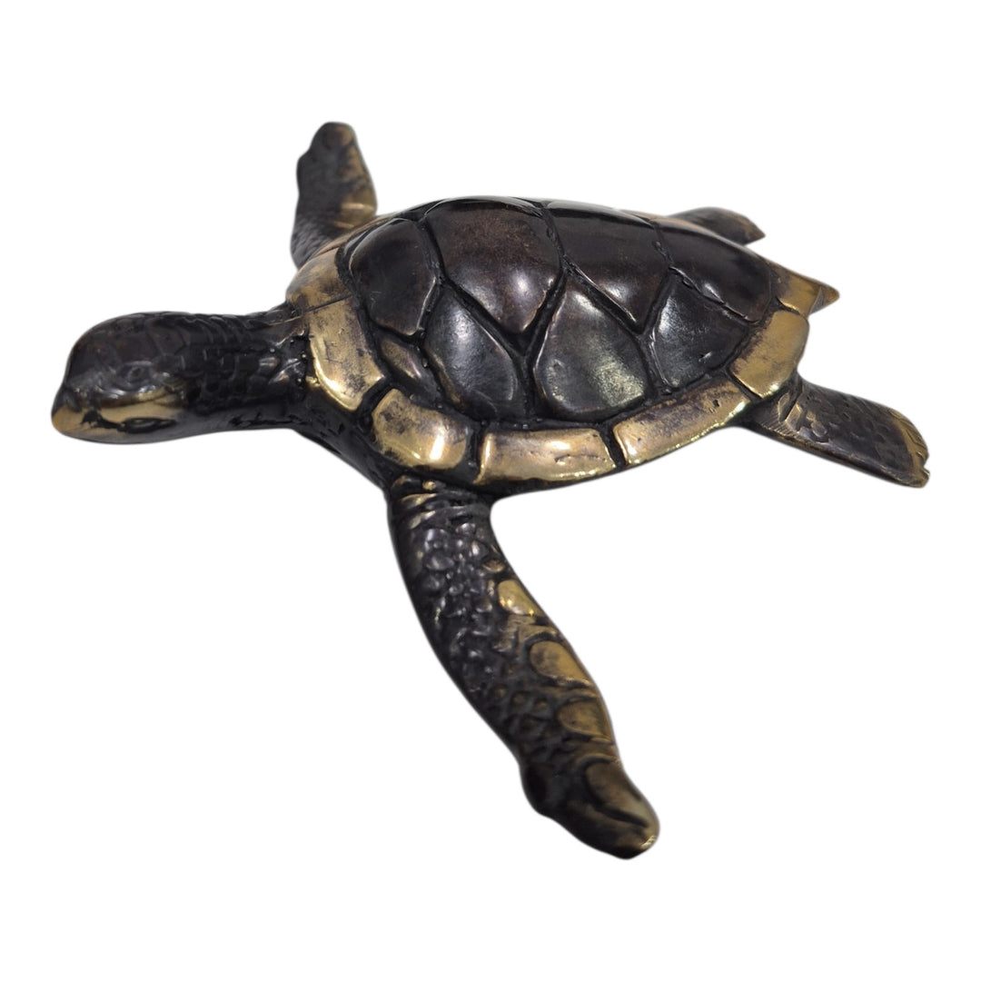 TORTUGA MARINA PEQ 10X13X3CM COD:122599
