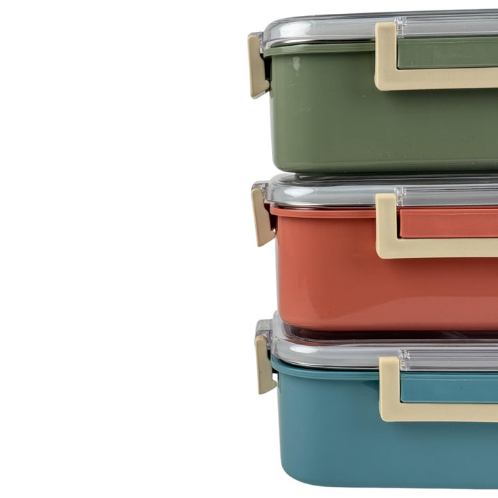 CONTENEDOR PARA ALIMENTOS 19.5X14X7.5CM SURTIDO