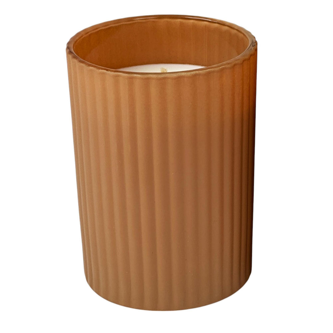 VELA APPLE CINNAMON COCONUT 10X7.5X7.5CM