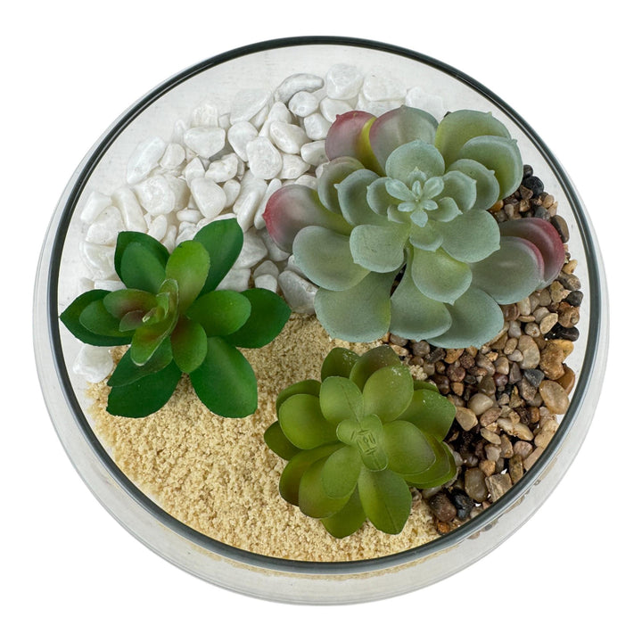 SUCULENTA CON POTE 19X19X8CM