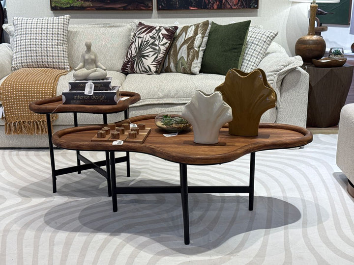 SUCULENTA CON POTE 19X19X8CM