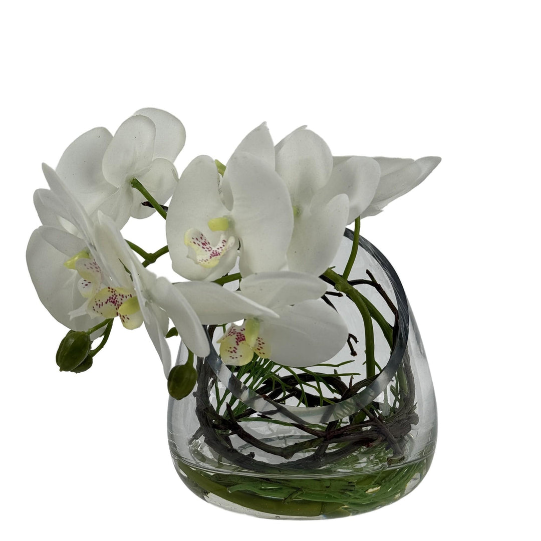 ORQUÍDEA BLANCA C/FLORERO 20X2 COD:122504