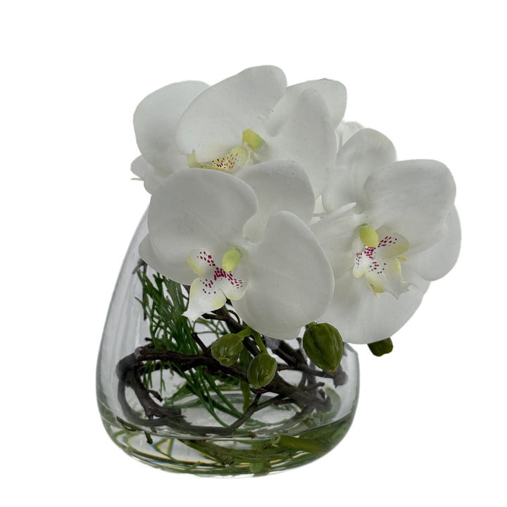 ORQUÍDEA BLANCA C/FLORERO 20X2 COD:122504