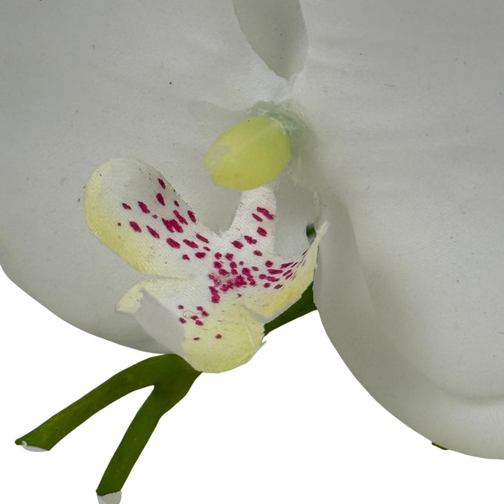 ORQUÍDEA BLANCA C/FLORERO 20X2 COD:122504