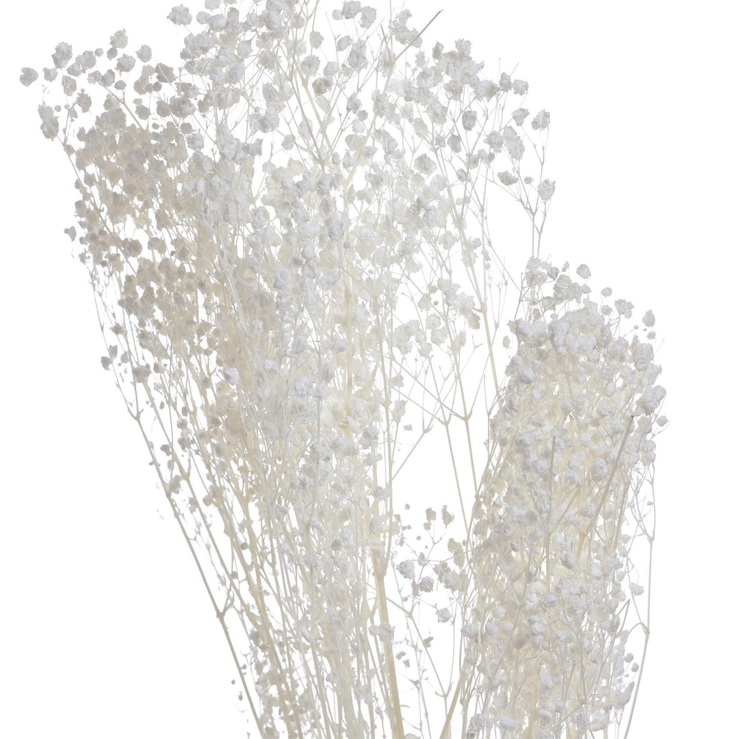 RAMO DECOR X73CM COD:121834