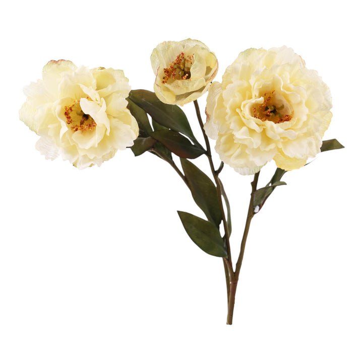 PEONÍA RAMA DECOR