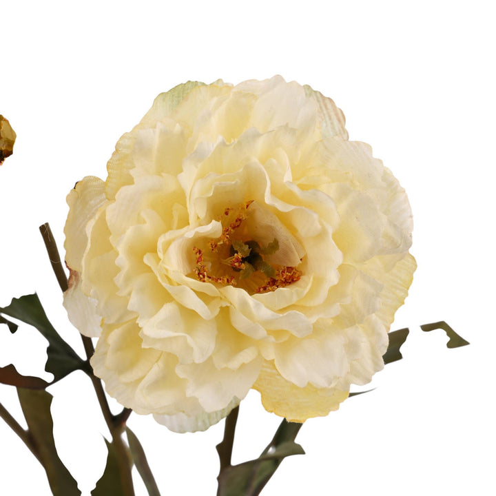 PEONÍA RAMA DECOR
