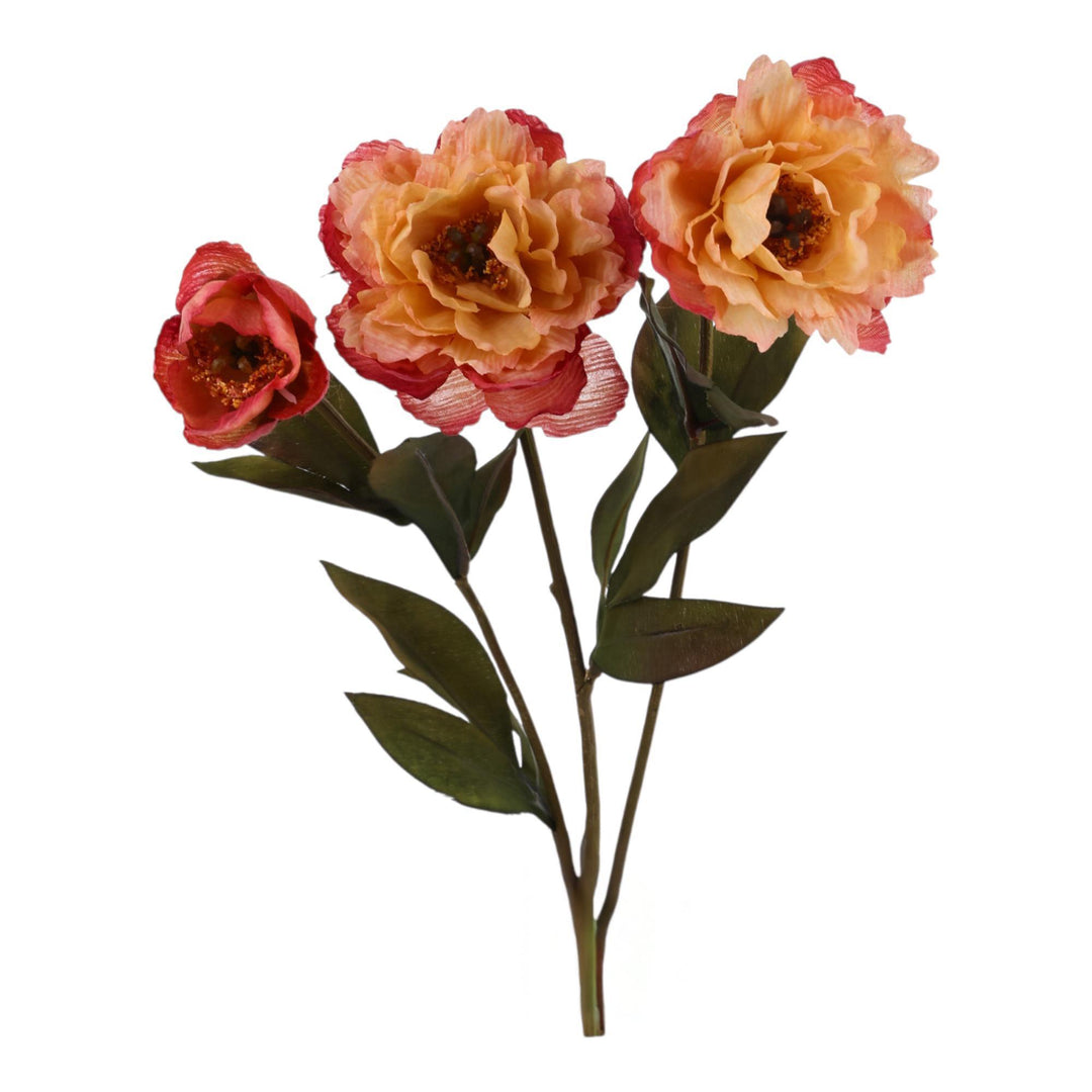 PEONÍA RAMA DECOR