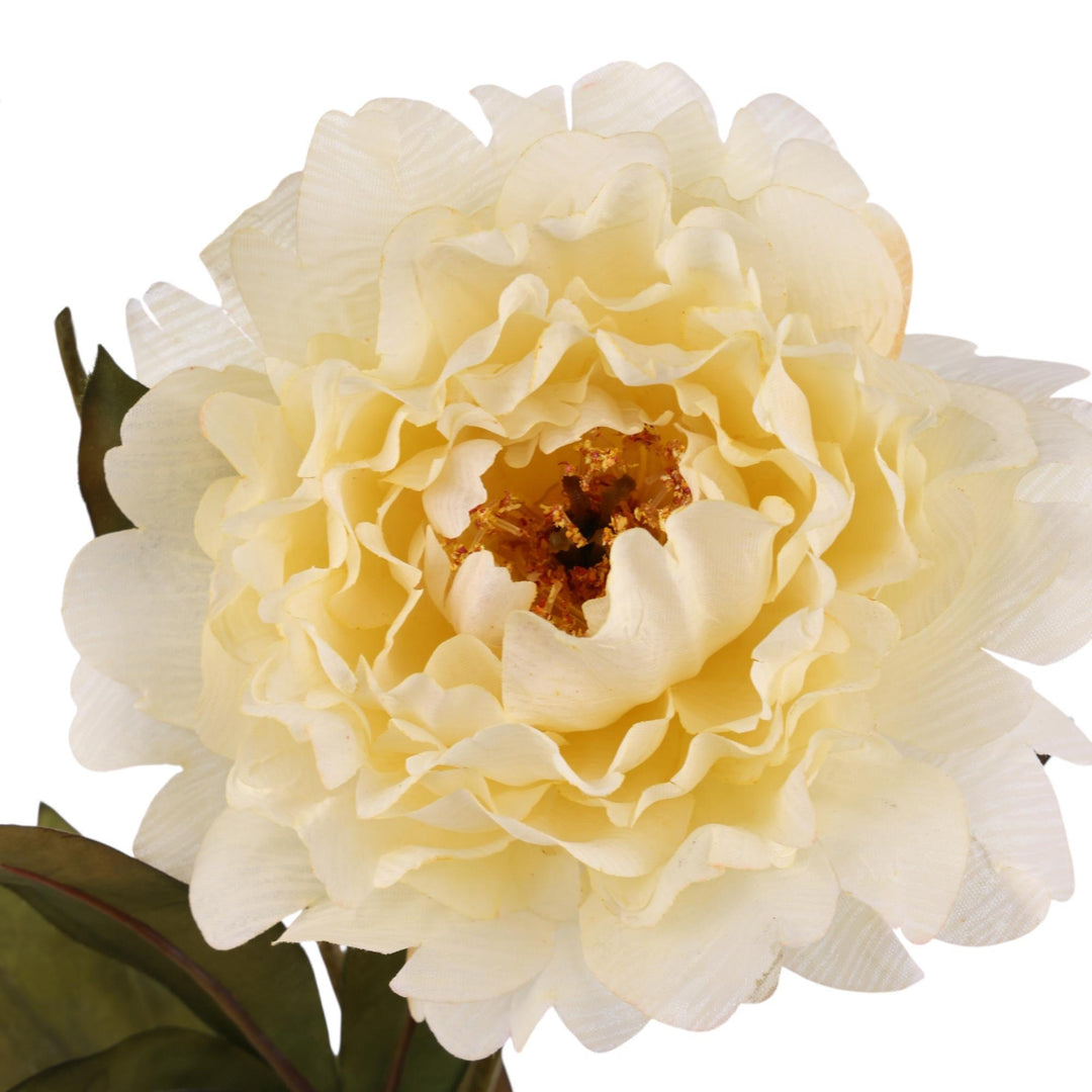 PEONÍA RAMA DECOR 10X12X53CM