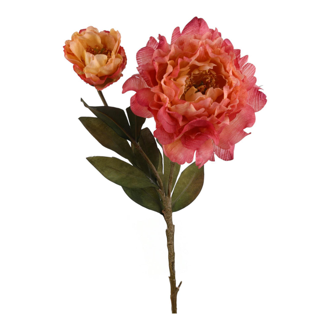 PEONÍA RAMA DECOR 10X12X53CM