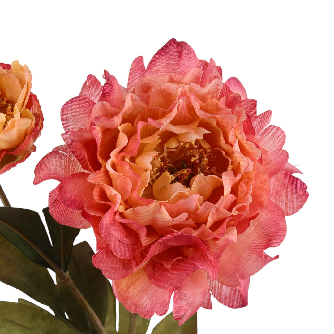 PEONÍA RAMA DECOR 10X12X53CM