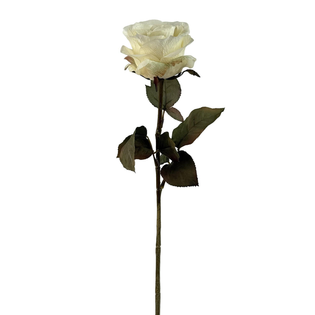 ROSA 6X67X8CM COD:121835