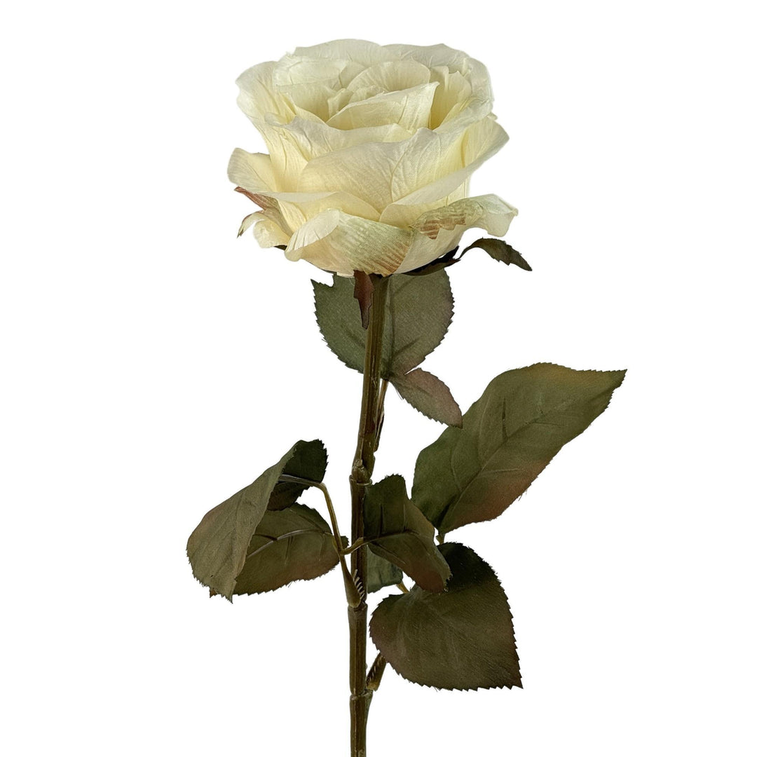 ROSA 6X67X8CM COD:121835