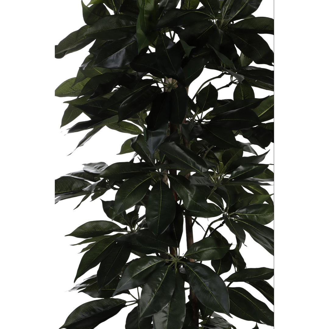 PLANTA C/POTE 55X55X180CM