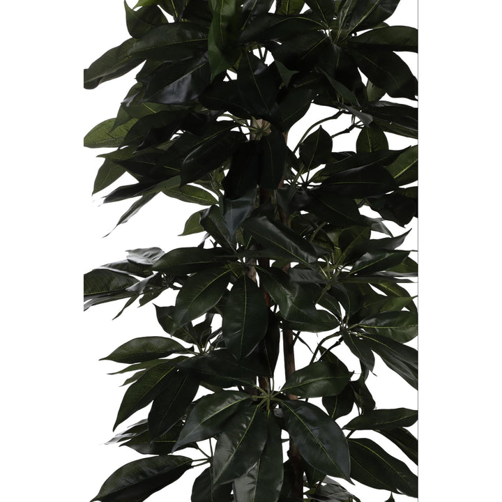 PLANTA C/POTE 55X55X180CM