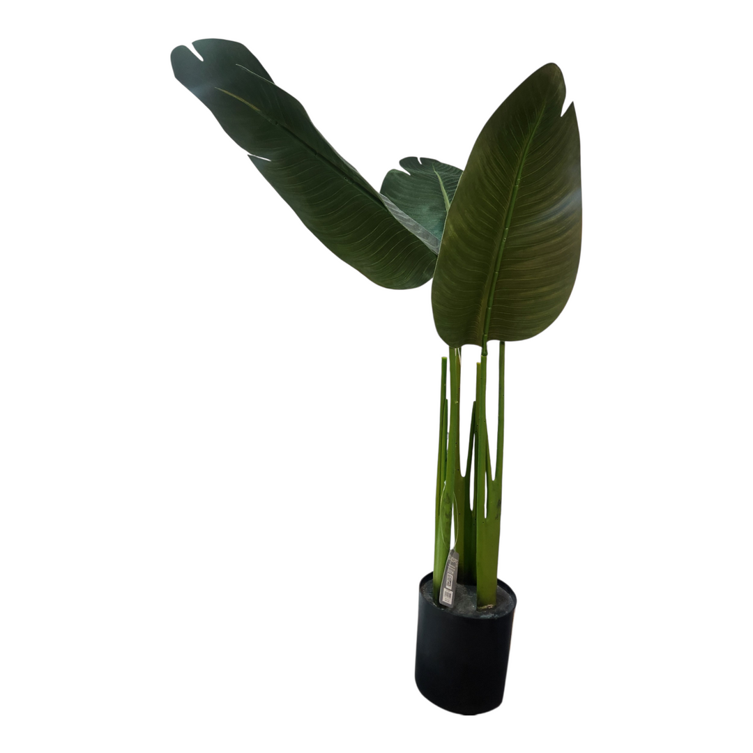 PLANTA C/POTE 80X60X80 CM