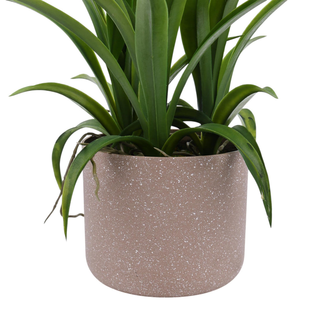 ORQUÍDEA 45X40X58CM