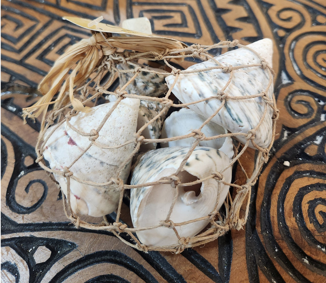 PACK CARACOLES 190GR