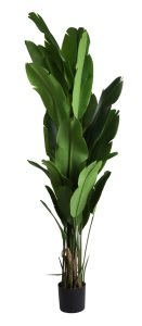 PLANTA C/POTE100X100X210CM